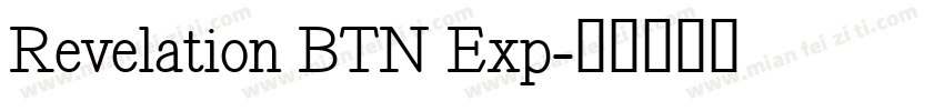 Revelation BTN Exp字体转换